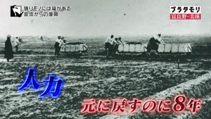 a51