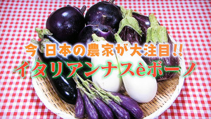 inasu11