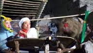 mujin01