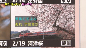 a41