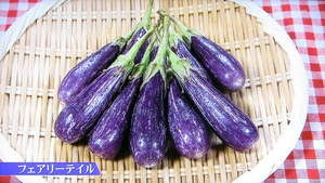 inasu17