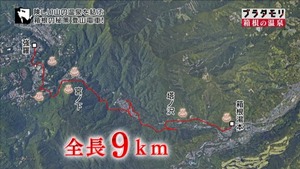 a30