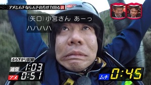 s36