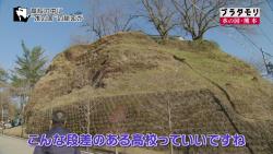 kumamizu6
