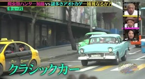 a16
