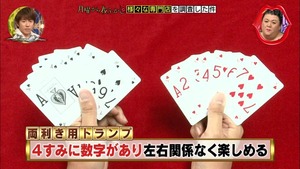 a13