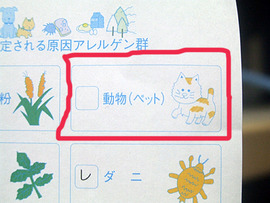 原因は下