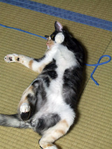 いまはなんとも