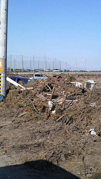 東部道路先