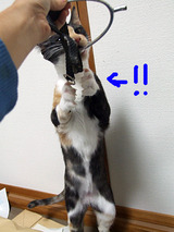 そこまで?