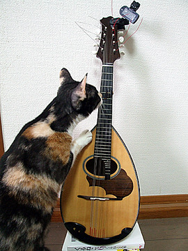 ああっ。やめて