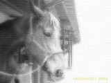 これまたはまってます