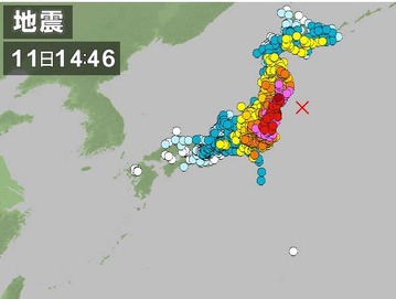 3月11日14:46