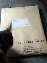 郵便物