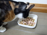 おおっ、贅沢ですな