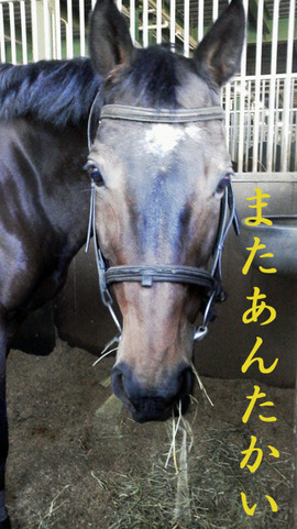 テツコさん
