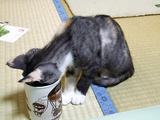 ちょっと休憩
