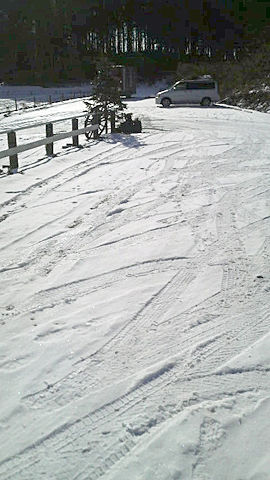 雪が降っても