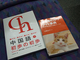 初歩の初歩