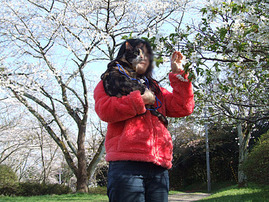 桜だよ。