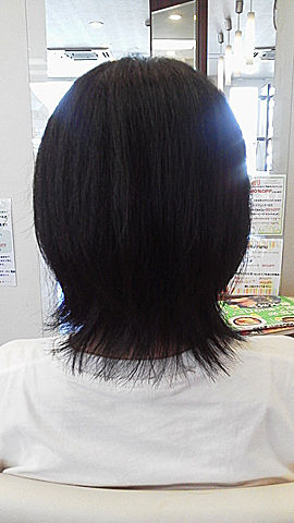 34.2cmだったそうです。