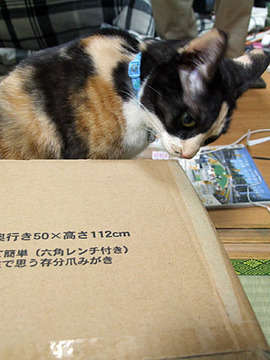 なんですか?