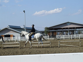 いつかの乗馬クラブは