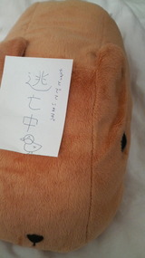 c85b6a68.jpg