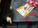 えっ?無視ですか?