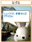 e428dc93.gif