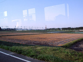 あの時の田んぼは