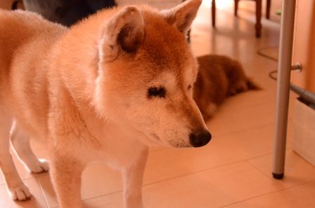 DSC_7571_1