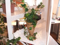 DSCF2879.JPG