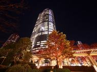 roppongi08-31s