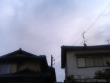 P1000112.jpg