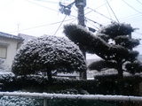P1000116.jpg