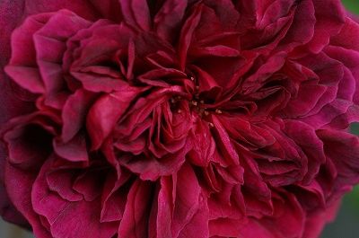 IMG_3227
