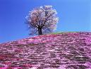 images2