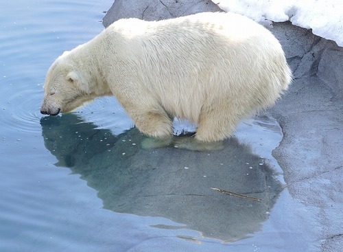 �䤵������