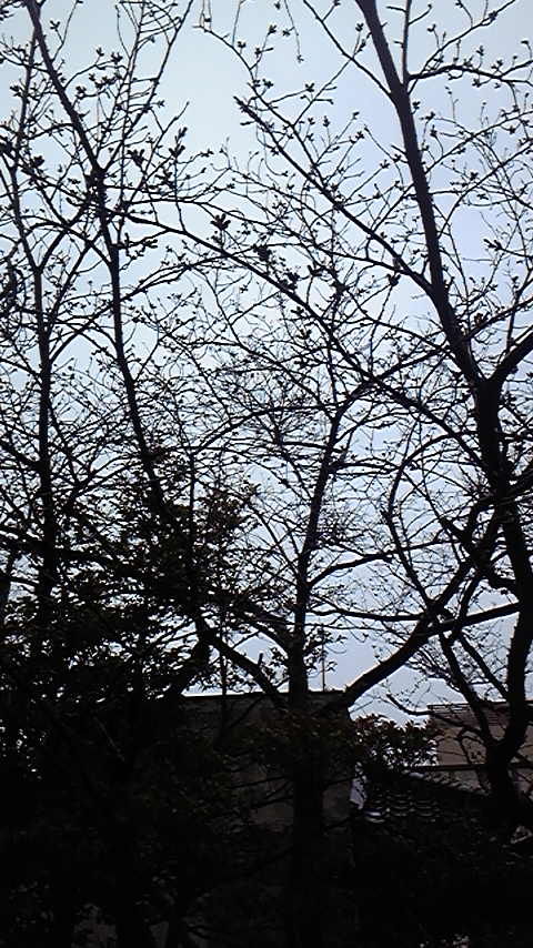 110408_101230
