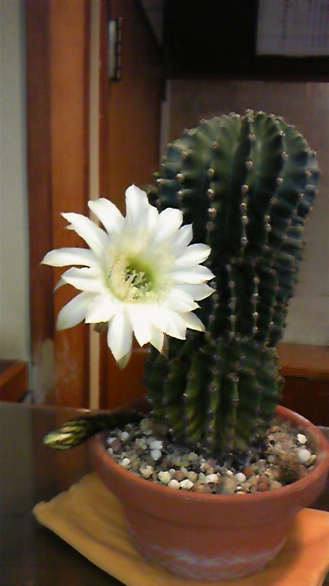 DVC00205