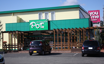 pot