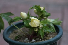IMG_0158