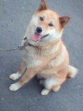 メイちゃん