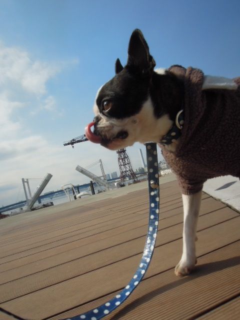 DSCN9425