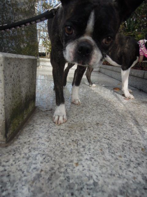 DSCN9006