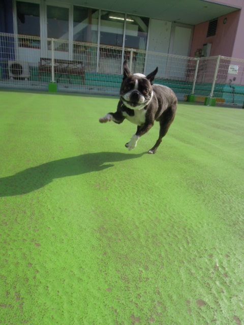 DSCN8977