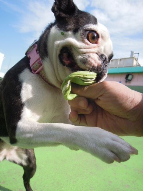 DSCN8929