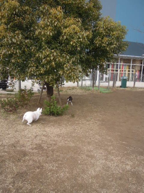 DSCN9553