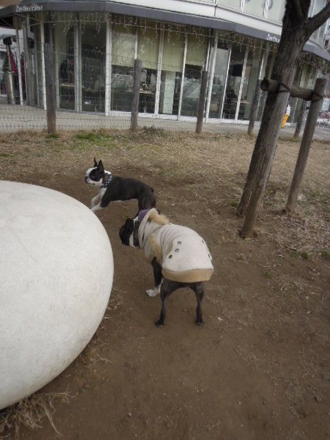 DSCN9549
